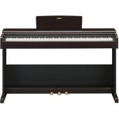 Yamaha Arıus Ydp-105R Dijital Piyano (Gülağacı) - 2