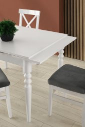 Erezoğulları Mobilya Didim Alaçatı Açılır Mutfak Masa Sandalye Takımı 80x120 - 2