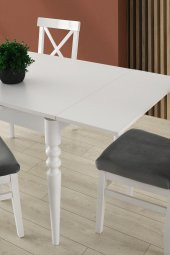 Erezoğulları Mobilya Didim Alaçatı Açılır Mutfak Masa Sandalye Takımı 80x120 - 3