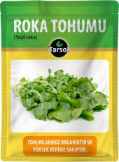 ROKA TOHUMU 30 ADET YEŞİL ROKA SOFRALIK - 1
