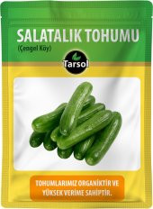 SALATALIK TOHUMU 30 ADET ÇENGEL KÖY - 1