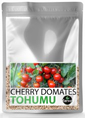 CHERRY DOMATES TOHUMU YÜKSEK VERİM 30 ADET - 1