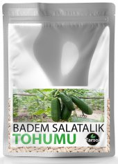 BADEM SALATALIK TOHUMU YÜKSEK VERİM 30 ADET - 1