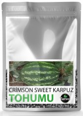 CRİMSON SWEET KARPUZ TOHUMU YÜKSEK VERİM 30 ADET - 1