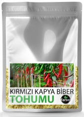 KIRMIZI KAPYA BİBER TOHUMU YÜKSEK VERİM 30 ADET - 1