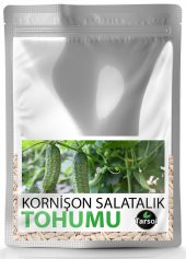 KORNİŞON SALATALIK TOHUMU YÜKSEK VERİM 30 ADET - 1