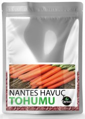 NANTES HAVUÇ TOHUMU YÜKSEK VERİM 30 ADET - 1