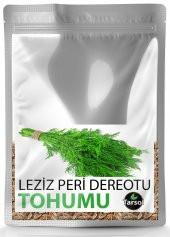 LEZİZ PERİ DEREOTU TOHUMU YÜKSEK VERİM 30 ADET - 1