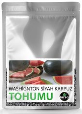 WASHİGNTON SİYAH KARPUZ TOHUMU YÜKSEK VERİM 30 ADET - 1