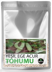 YEŞİL EGE ACUR TOHUMU YÜKSEK VERİM 30 ADET - 1