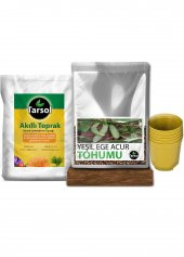 ACUR TOHUMU 30 ADET TOPRAK VE SAKSI SETİ - 1