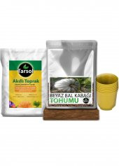 BEYAZ BALKABAĞI TOHUMU 30 ADET TOPRAK VE SAKSI SETİ thumbnail 1