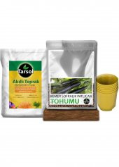 PATLICAN TOHUMU 30 ADET TOPRAK VE SAKSI SETİ thumbnail 1