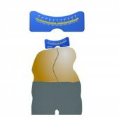 Skolyometre Skolyoz Ölçüm Cetveli thumbnail 2