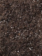 TARSOL TORF BONSAİ TOPRAĞI ÖZEL FORMÜL 10 LT - 2