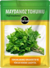 MAYDANOZ TOHUMU 30 ADET YEŞİL MAYDANOZ - 1