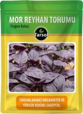 MOR REYHAN TOHUMU 30 ADET YOĞUN KOKU - 1