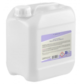 Tauss PAINT REMOVER / READY (Kullanıma Hazır Boya & Vernik Sökücü) 2½ lt - 2