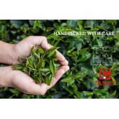 TANAY Ceylon Tea - Seylan Siyah Çay 500gr - 3