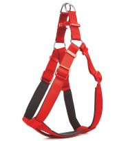 Doggie Comfort Ronin Köpek Bel Tasması 3cm-75 x 85 cm 3X-Large Kı - 1
