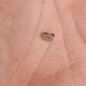 Nikel Kaplama Kelebek Tipi Küpe Arkalığı Tıkacı 5000 Adet - 5