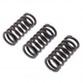EBC CSK264 BMW R1200GS DEBRİYAJ YAY SETİ - 1