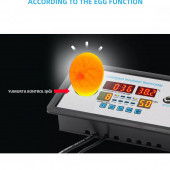 YATE10-W9002 12Volt Kuluçka Kontrolörü (Isı-Nem-Çevirme-Fan) thumbnail 1