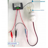 W3230 12Volt 1500W Termostat kuluçka Uygun Hassas - 4