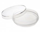Cam Petri Kabı Kutusu 75 mm - 10 Adetlik Set - Isıya Dayanıklı - 2
