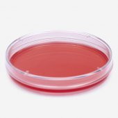 Fıratmed Petri Kabı Kutusu 90 mm - Dayanıklı Plastik -  10 Adetlik Set - 2