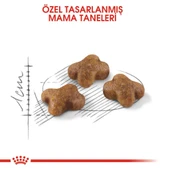 Royal Canin Kitten Yavru Kuru Kedi Maması 4 Kg thumbnail 3