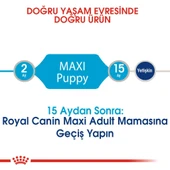 Royal Canin Maxi Puppy Köpek Maması 15 kg - 4