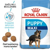 Royal Canin Maxi Puppy Köpek Maması 15 kg - 2