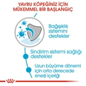 Royal Canin Maxi Puppy Köpek Maması 15 kg - 5