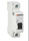 Günsan Valta 1x32a C Tipi 6ka W Otomat - 12 Adet - 1