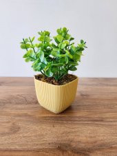 Mini Saksıda Yapay Bitki Şimşir Gerçek Taş Yosunlu Toplam 16 Cm Dekoratif Banyo Mutfak Masa Çiçeği - 1