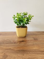 Mini Saksıda Yapay Bitki Şimşir Gerçek Taş Yosunlu Toplam 16 Cm Dekoratif Banyo Mutfak Masa Çiçeği - 2