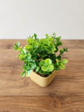 Mini Saksıda Yapay Bitki Şimşir Gerçek Taş Yosunlu Toplam 16 Cm Dekoratif Banyo Mutfak Masa Çiçeği - 3