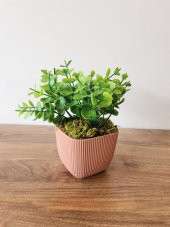 Mini Saksıda Yapay Bitki Şimşir Gerçek Taş Yosunlu Toplam 16 Cm Dekoratif Banyo Mutfak Masa Çiçeği - 2