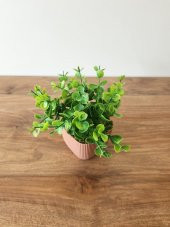 Mini Saksıda Yapay Bitki Şimşir Gerçek Taş Yosunlu Toplam 16 Cm Dekoratif Banyo Mutfak Masa Çiçeği - 3