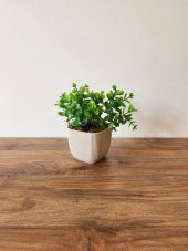 Mini Saksıda Yapay Bitki Şimşir Gerçek Taş Yosunlu Toplam 16 Cm Dekoratif Banyo Mutfak Masa Çiçeği - 1