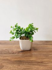 Mini Saksıda Yapay Bitki Şimşir Gerçek Taş Yosunlu Toplam 16 Cm Dekoratif Banyo Mutfak Masa Çiçeği - 2