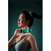 Pangao Boyun ve Omuz Masaj Aleti (P7) - 2