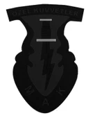 Single Sword 3d Plastik Mak Özel Kuvvetler Arması Patch - 4