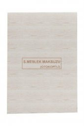Serbest Meslek Makbuzu 3 Nüshalı - 1