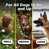 Dogtra CUE E-Yaka Su Geçirmez Şarj Edilebilir - Köpek Eğitim Tasması - 4