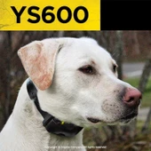 Dogtra YS600 Şarj Edilebilir Su Geçirmez Yüksek Çıkışlı Havlamayan Tasma - 3