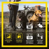Dogtra 1902S HANDSFREE Plus Güçlendir ve Kilitle, Uzaktan Köpek Eğitimi - 3