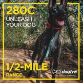 Dogtra 280C Su Geçirmez, Hassas Kontrol LCD Ekran - Uzaktan Eğitim Köpek - 3
