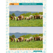 Herkes İçin Fark Bulma Kitabı- 50 Tam Sayfa Fark Bulma) thumbnail 2